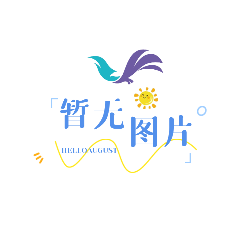 总压探针 
